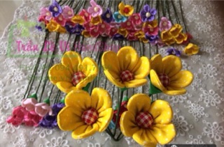 SỈ HOA DÂU TÂY