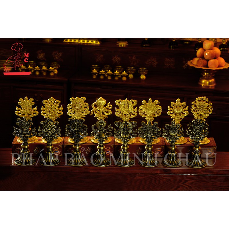 8 Cát Tường đồng 20cm