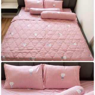 [CÓ SẴN] DRAP/GA COTTON HOUSE THÁI