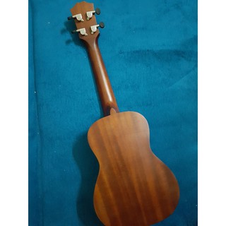 Đàn ukulele Concert