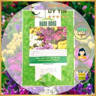 Hạt giống Hoa Xalem Nhiều Màu RD 805 0.1gr