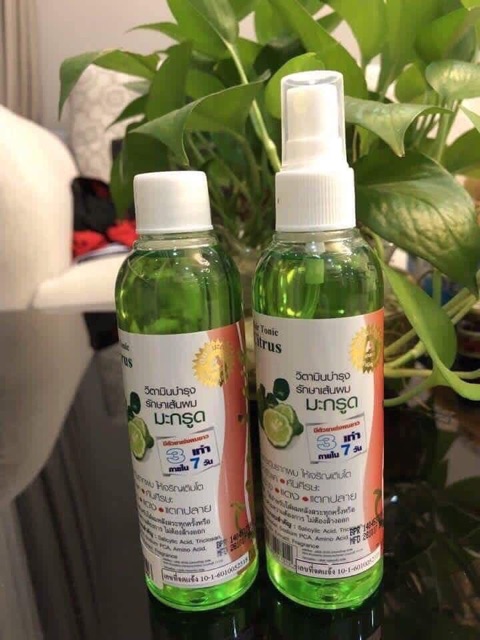 Xịt tinh dầu bưởi citrus | BigBuy360 - bigbuy360.vn