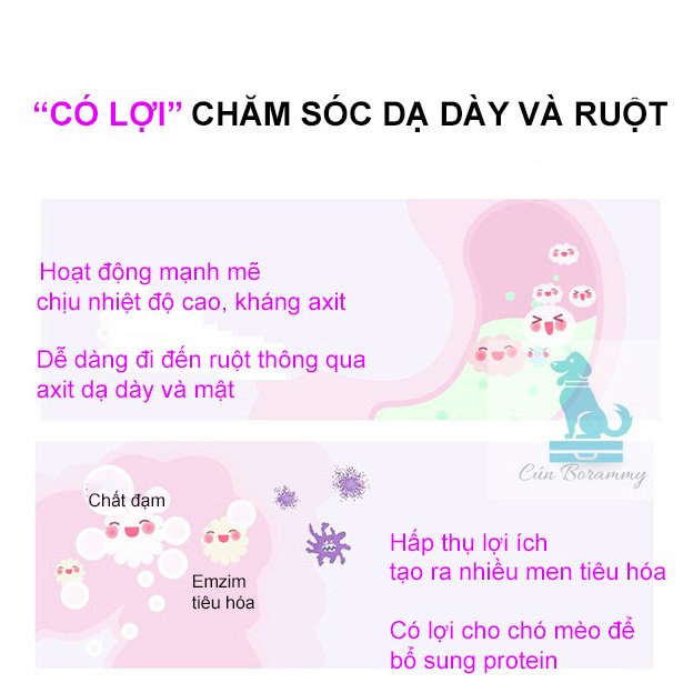 Men tiêu hoá Probiotic cho chó mèo Borammy hỗ trợ đường tiêu hoá, hấp thu dinh dưỡng toàn diện