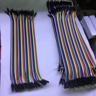 Bộ dây Zắc đực cái.