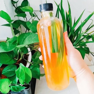 Trà lên men kombucha f 2 mix vị 390ml