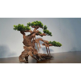 Lũa Bonsai Lá Nhựa - Trang Trí Bể Cá