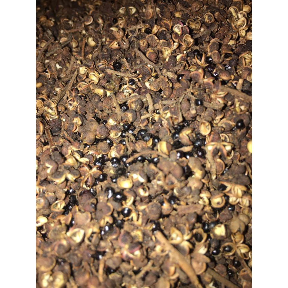 1kg Mắc khén rừng cực thơm
