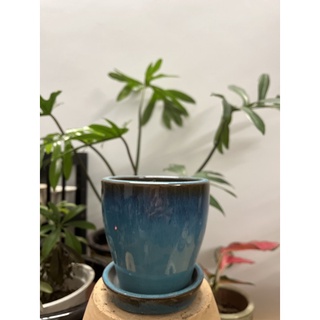 Bộ chậu trồng cây kèm đĩa lót bằng gốm tráng men - 11x11cm