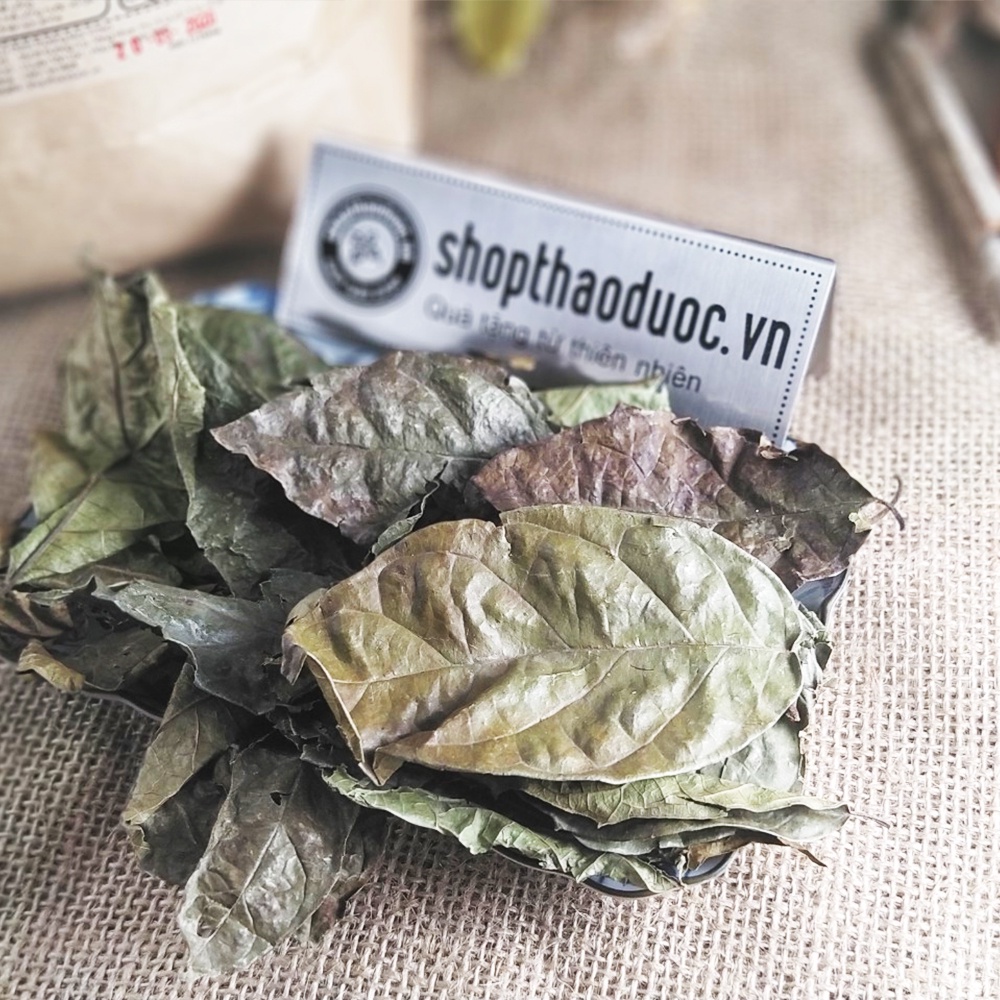 Lá Xạ Đen Sấy Khô Ép Chân Không - Trà Cây Xạ Đen giúp thanh nhiệt, làm mát cơ thể
