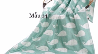 Khăn tắm cotton
