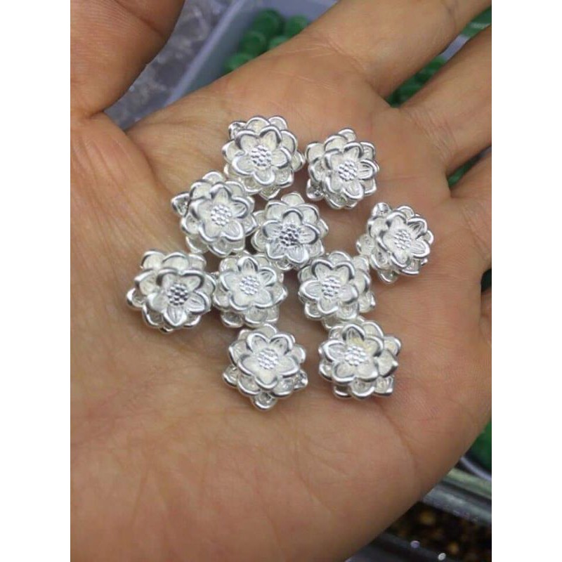 CHARM HOA SEN BẠC TA XỎ NGANG