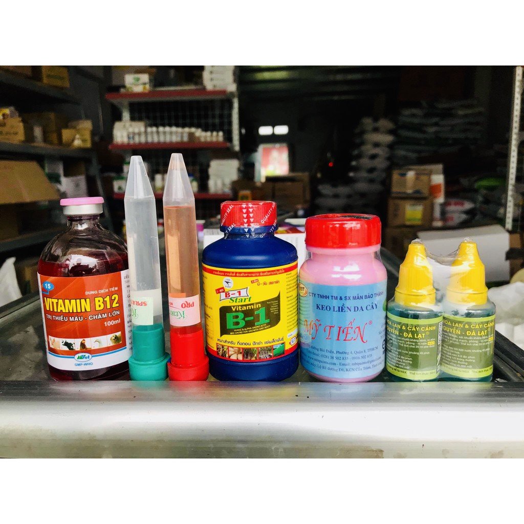 Combo sản phẩm đủ bộ cho hoa Lan (6 sản phẩm)