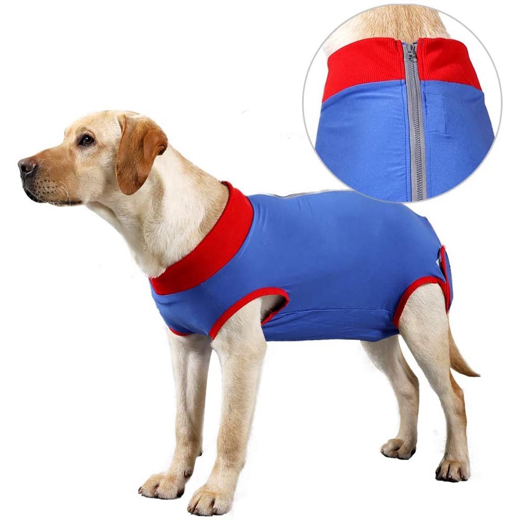 AUGUSTINA Bộ Áo Liền Quần Phẫu Thuật Cho Cún Cưng Sau Khi Phẫu Thuật