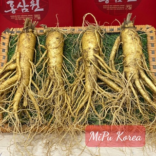 Nhân Sâm Tươi Hàn Quốc 4 củ 1kg
