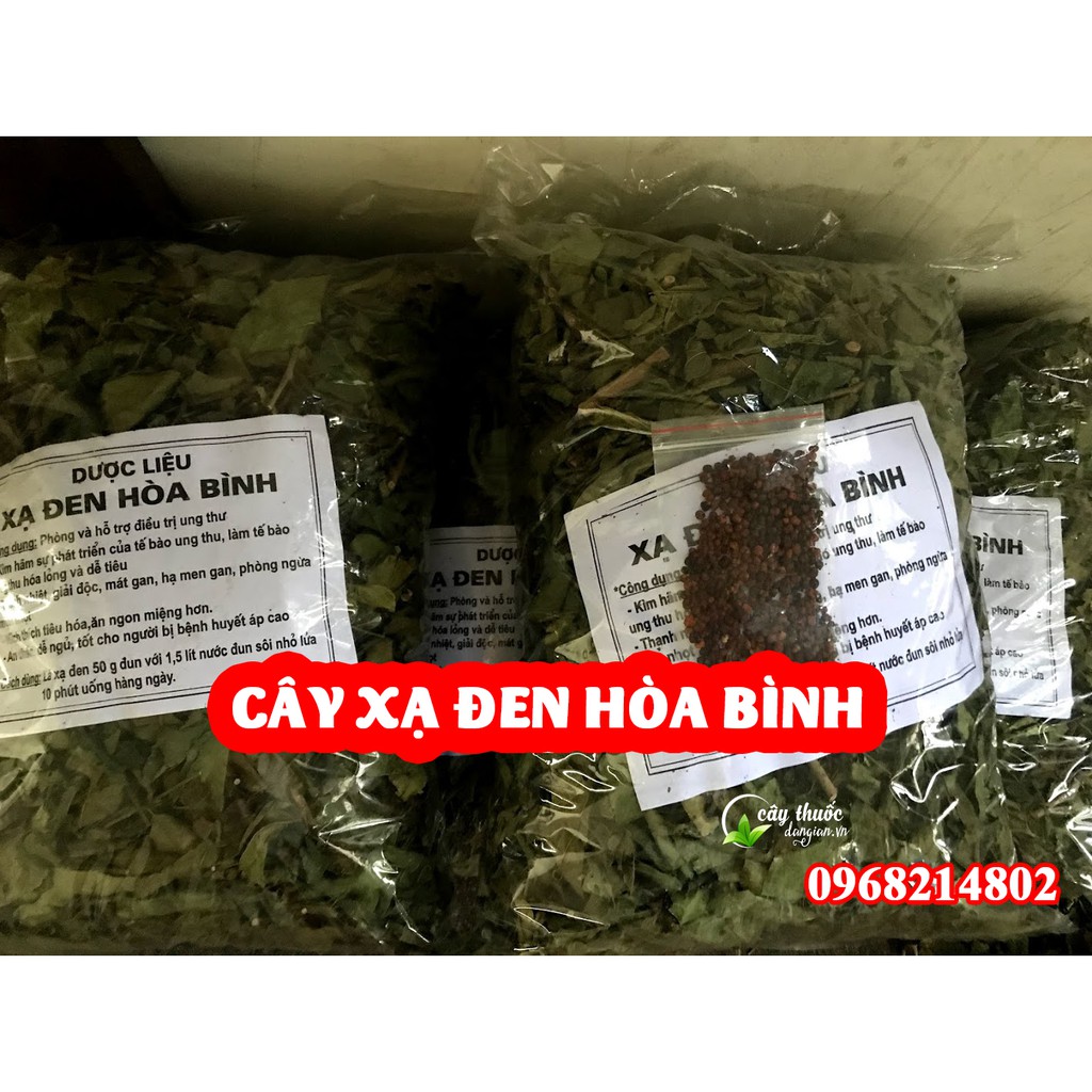 Cây xạ đen khô chuẩn Hòa Bình ở đâu