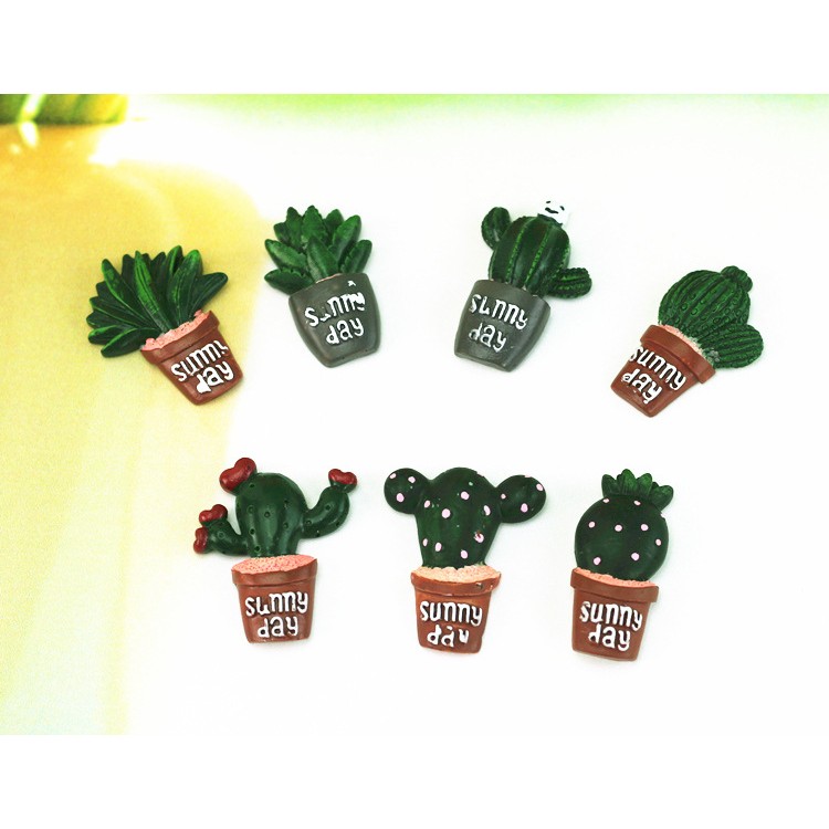 Cây xương rồng trang trí, hít tủ lạnh