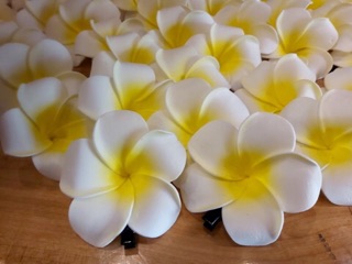 Kẹp tóc hoa sứ đi biển