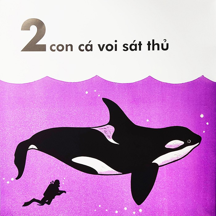 Sách cho bé - Cá Voi Dài Bao Nhiêu - NXB Kim Đồng
