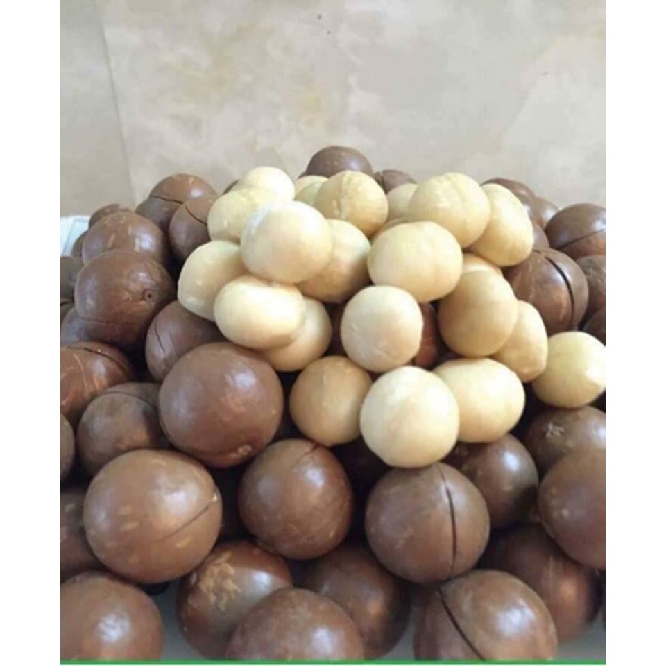 500g hạt macca nứt vỏ- tặng kèm lẫy