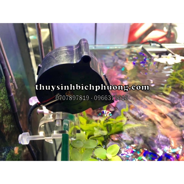 QUẠT SÒ TẢN NHIỆT CHO HỒ THUỶ SINH