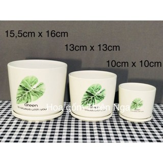 Chậu hoa gốm sứ - bộ 3 chậu hoa gốm sứ - kèm đĩa đựng nước