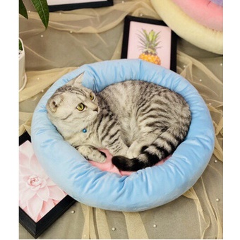 NỆM CHO CHÓ MÈO THÚ CƯNG