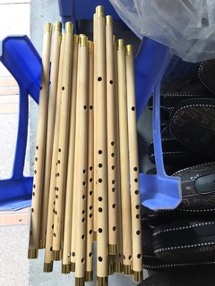 Dòng sáo SV2