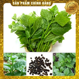 Hạt Giống RAU MỒNG TƠI_10GR (HẠT CHẤT LƯỢNG CHUẨN F1)