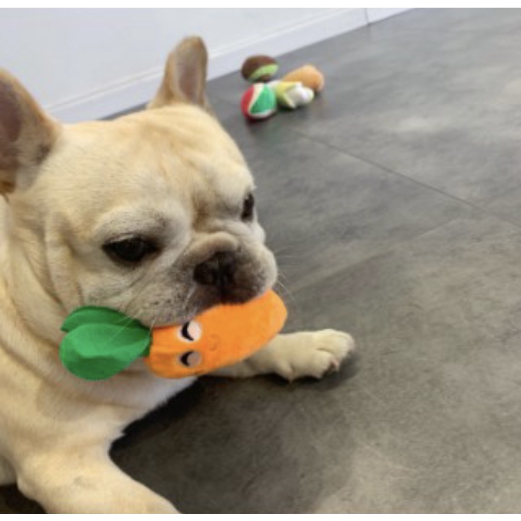 Đồ chơi cho thú cưng, chó, mèo, đồ chơi nhồi bông phát ra âm thanh kích thích thú cưng- Pika Petshop