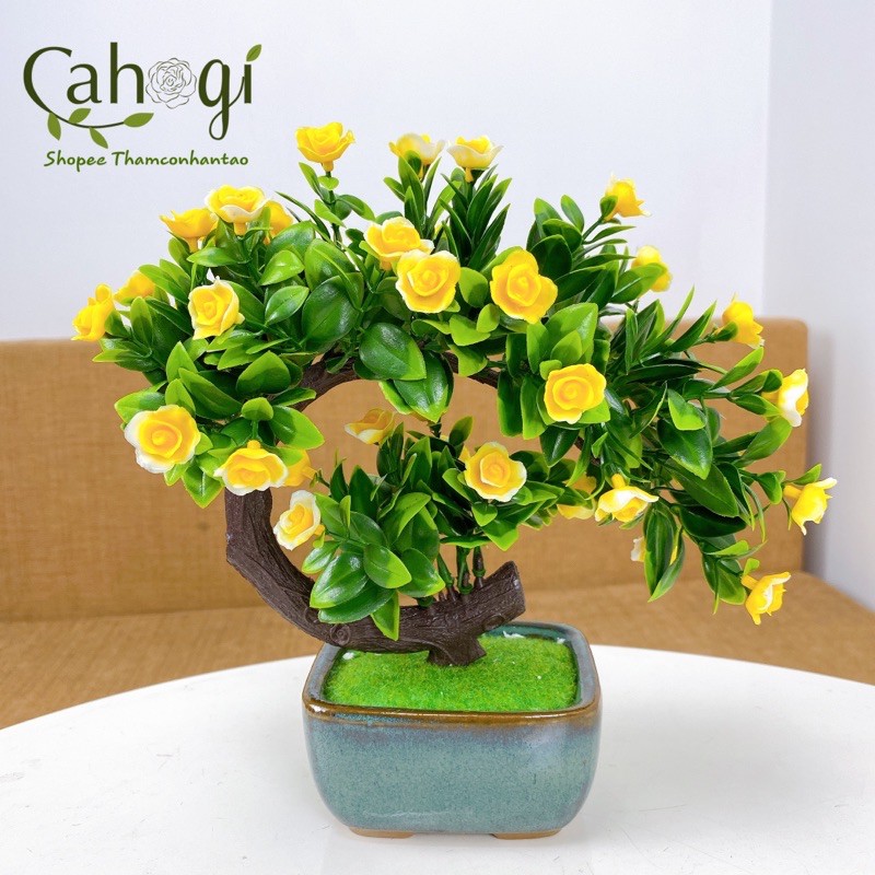 Cây Giả - Chậu Bon Sai Hoa Nở