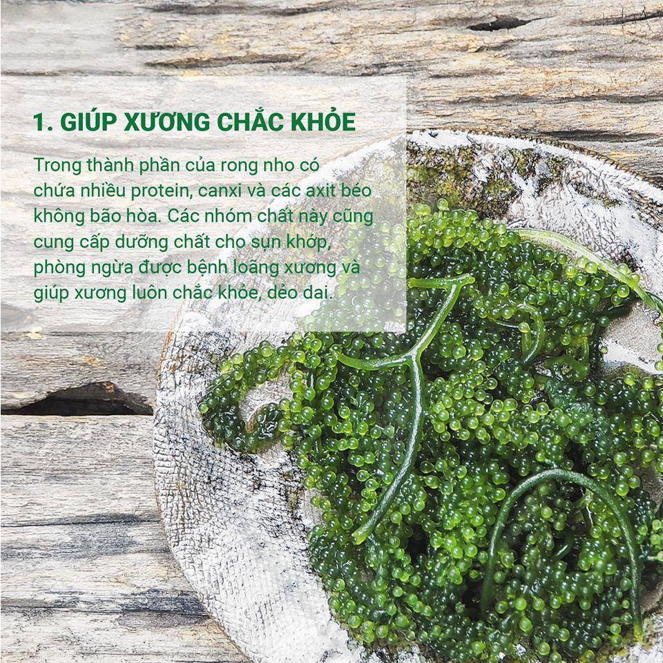 Rong Nho Cách Nhiệt - Vương Quốc Tỏi - Túi 100g nở ra 300g, Thực phẩm cho sức khoẻ | BigBuy360 - bigbuy360.vn