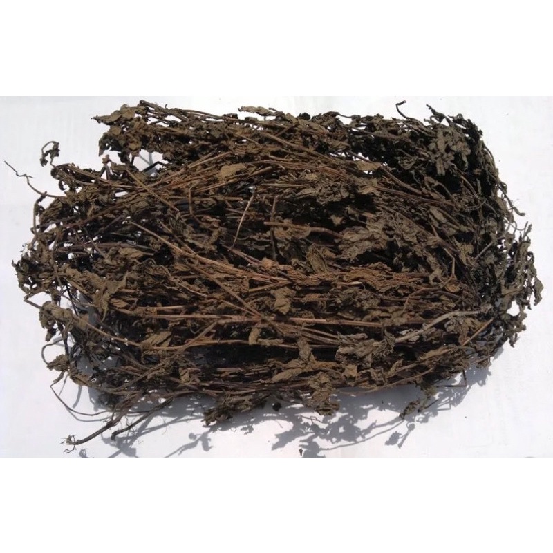 CÂY THẠCH ĐEN CAO BẰNG-CÂY SƯƠNG SÁO_100 Gram