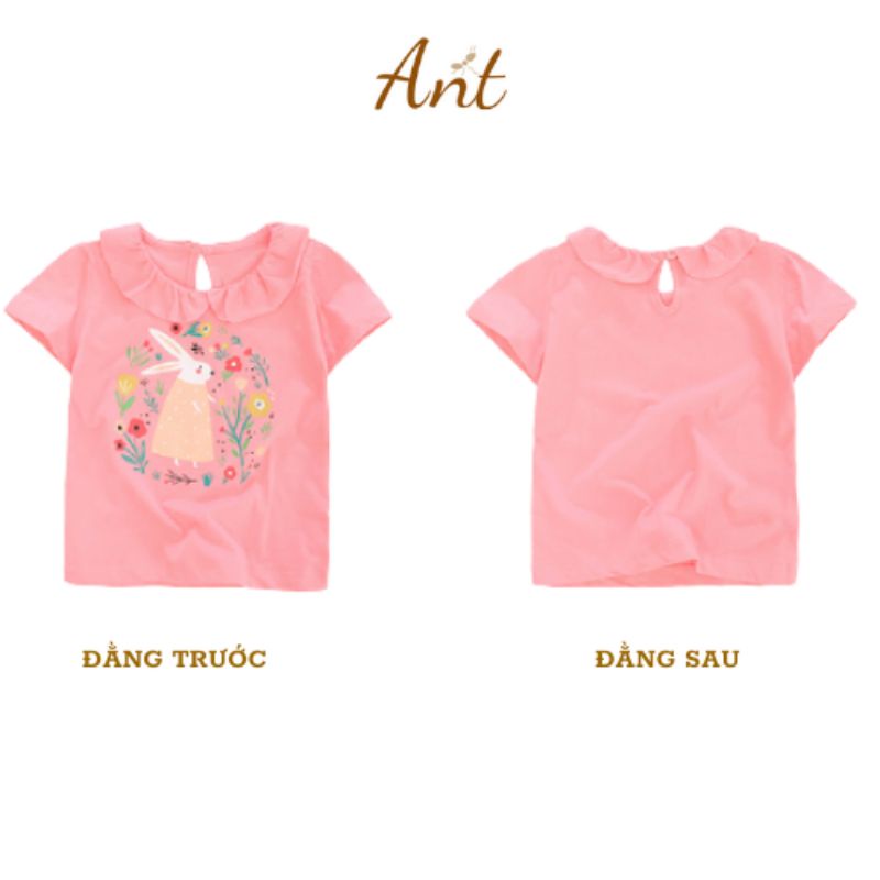 Áo Thun Bé Gái, Áo Cộc Tay Little Maven 100% Chất Cotton Mềm Mát Cho Bé 12-24kg Từ 2-7 Tuổi Hình Thỏ Hồng