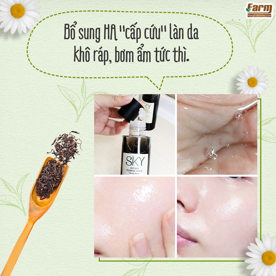 Nước Hoa Hồng Trà Đen SKY USA | BigBuy360 - bigbuy360.vn