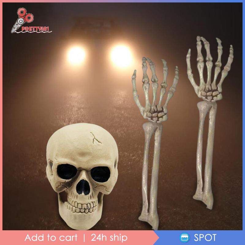 Bộ Xương Trang Trí Halloween Kinh Dị Prettyia1