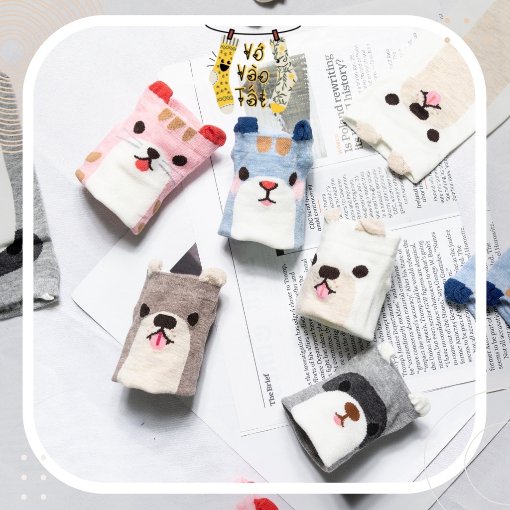 TẤT VỚ CỔ NGẮN MÈO CÚN CÓ TAI