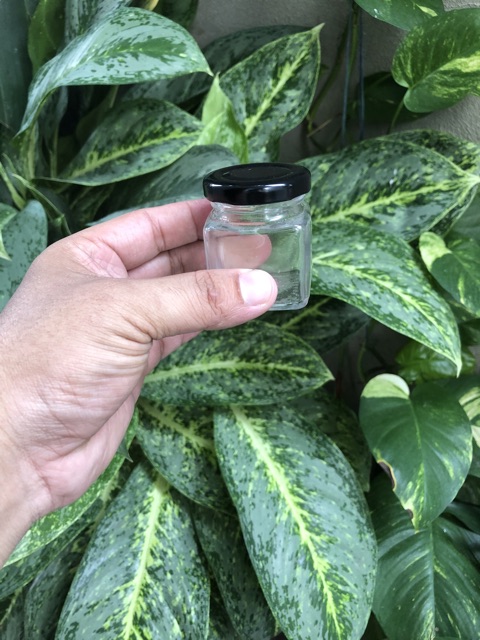 Hũ thuỷ tinh vuông 150ml 100ml  50ml | BigBuy360 - bigbuy360.vn