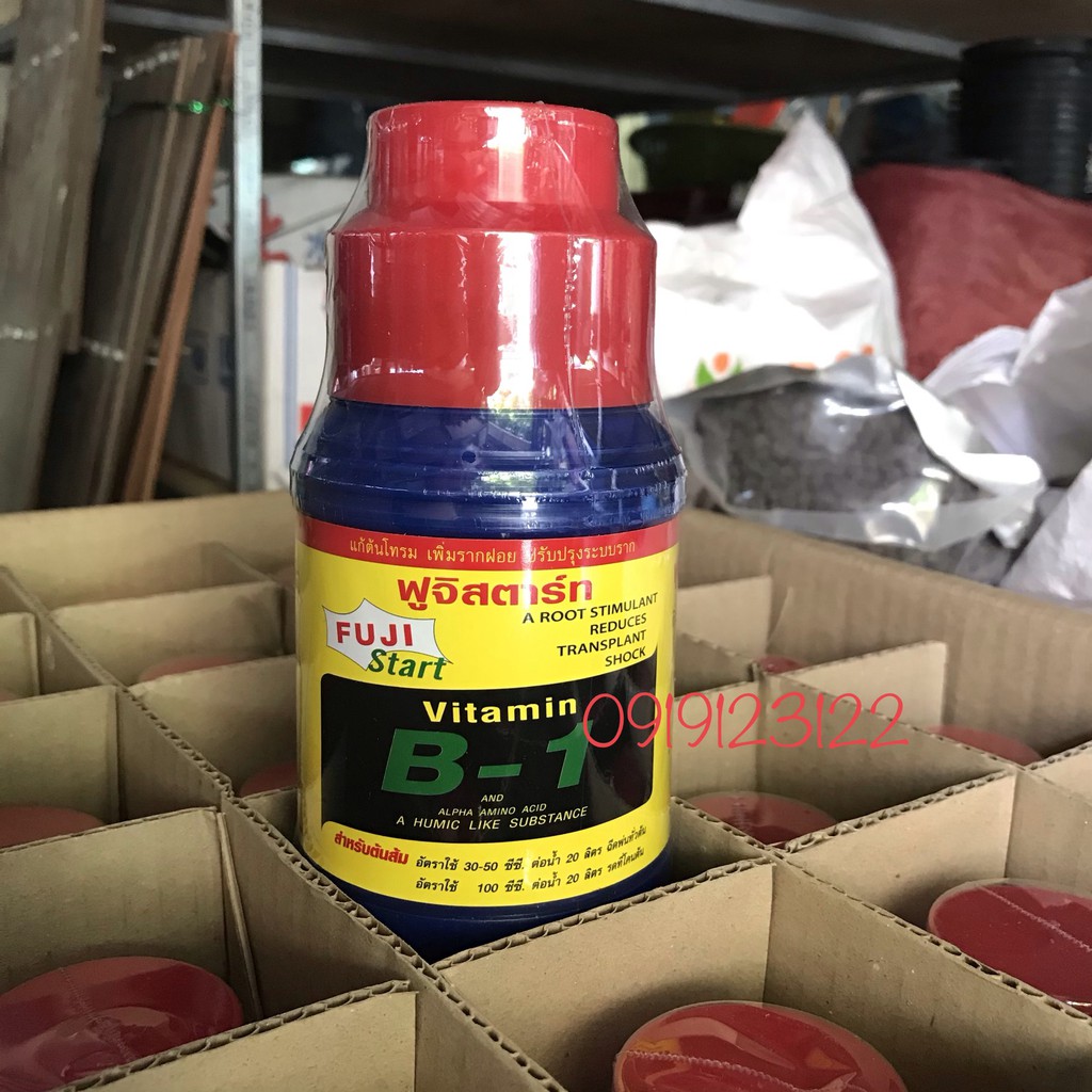 Vitamine B1 thái Fuji Start chai 500ml