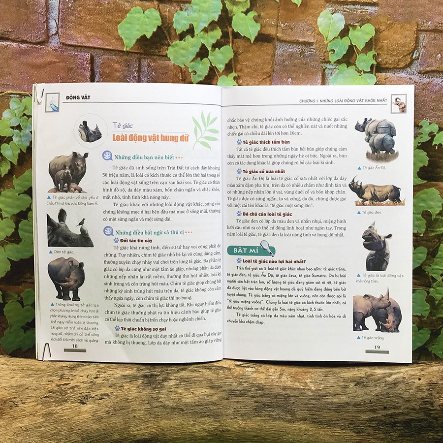 Sách Khám Phá Bí Ẩn Thế Giới Tự Nhiên (Trọn Bộ 5 Cuốn)