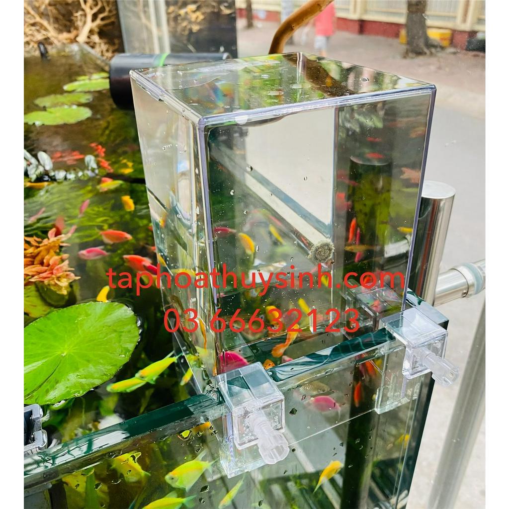 Box Up Ngược Cá Bay trên không trung độc lạ, Box Acrylic VOONLINE trang trí bể cá cảnh