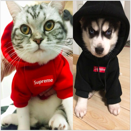 ÁO CHÓ MÈO - Áo Hoodie Suprem cho Chó Mèo