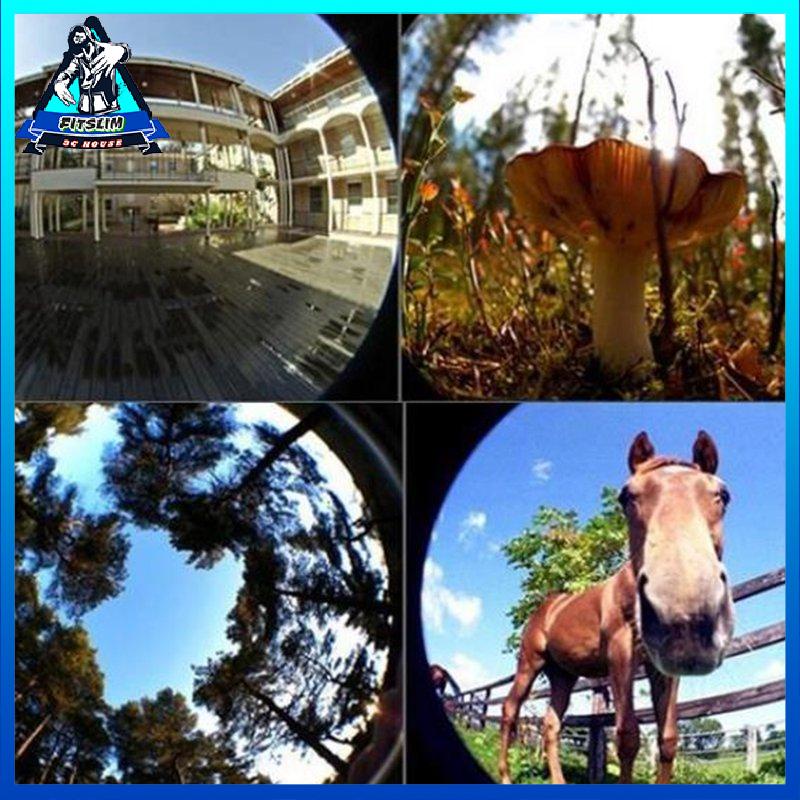 [Fitslim] 3 In 1 Mobile Phone Lens Fish Eye Smartphone Wide Angle Macro Camera Lens Kit