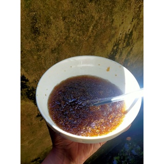 hạt ươi rừng Nam Giang