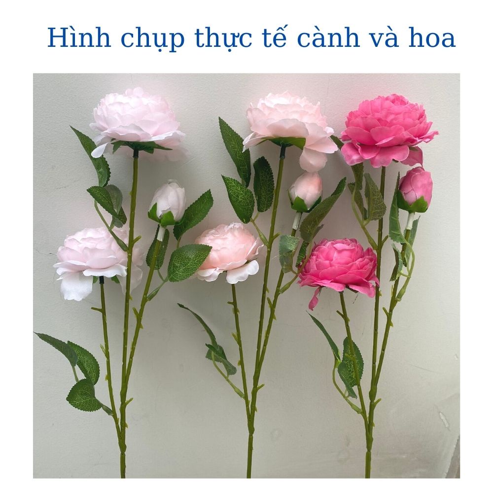 Hoa hồng giả decor trang trí để bàn chụp ảnh cành lớn 2 bông 1 nụ mã HL02 của Moms