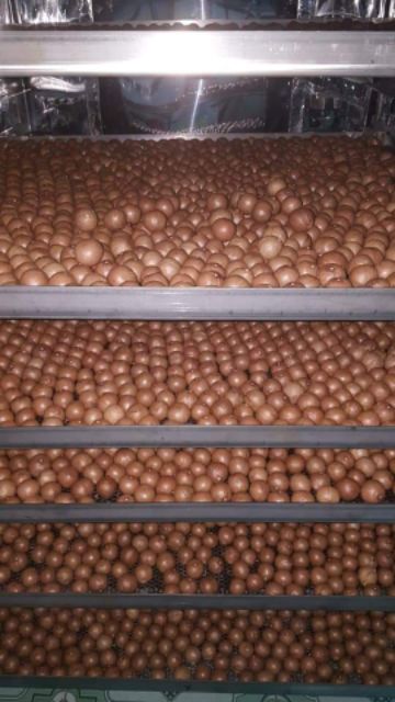 1kg hạt Macca daklak size to (22-26) đã sấy nứt ăn ngay (2 túi 500g) | BigBuy360 - bigbuy360.vn