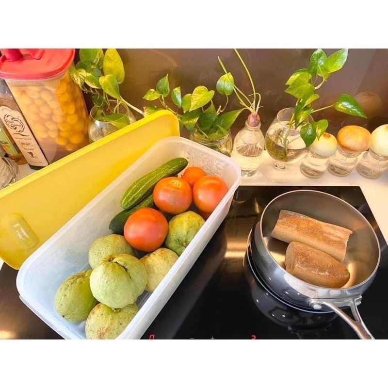 HỘP VENTSMART 6.1L TUPPERWARE