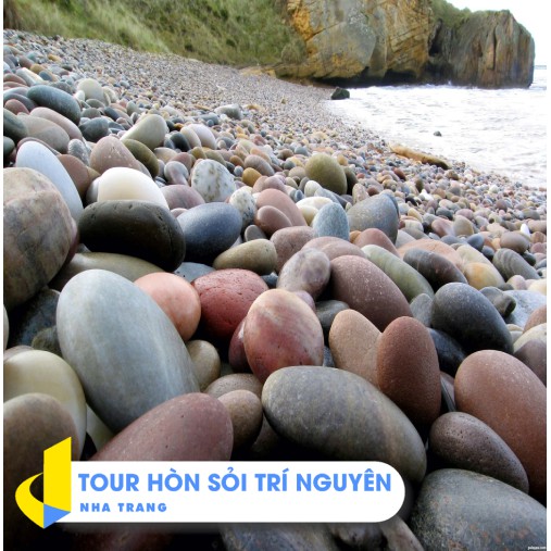 NHA TRANG [E-Voucher] - Tour lặn biển Hòn Sỏi 1 ngày, đón khách tại Nha Trang