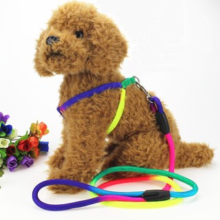 Dây Dắt Kèm Yếm 7 Màu Cho Thú Cưng Loại Dây Tròn Chắc Chắn