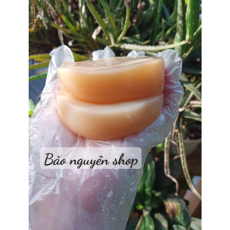 Nấm scoby/kombucha kèm nước mồi làm trà kombucha