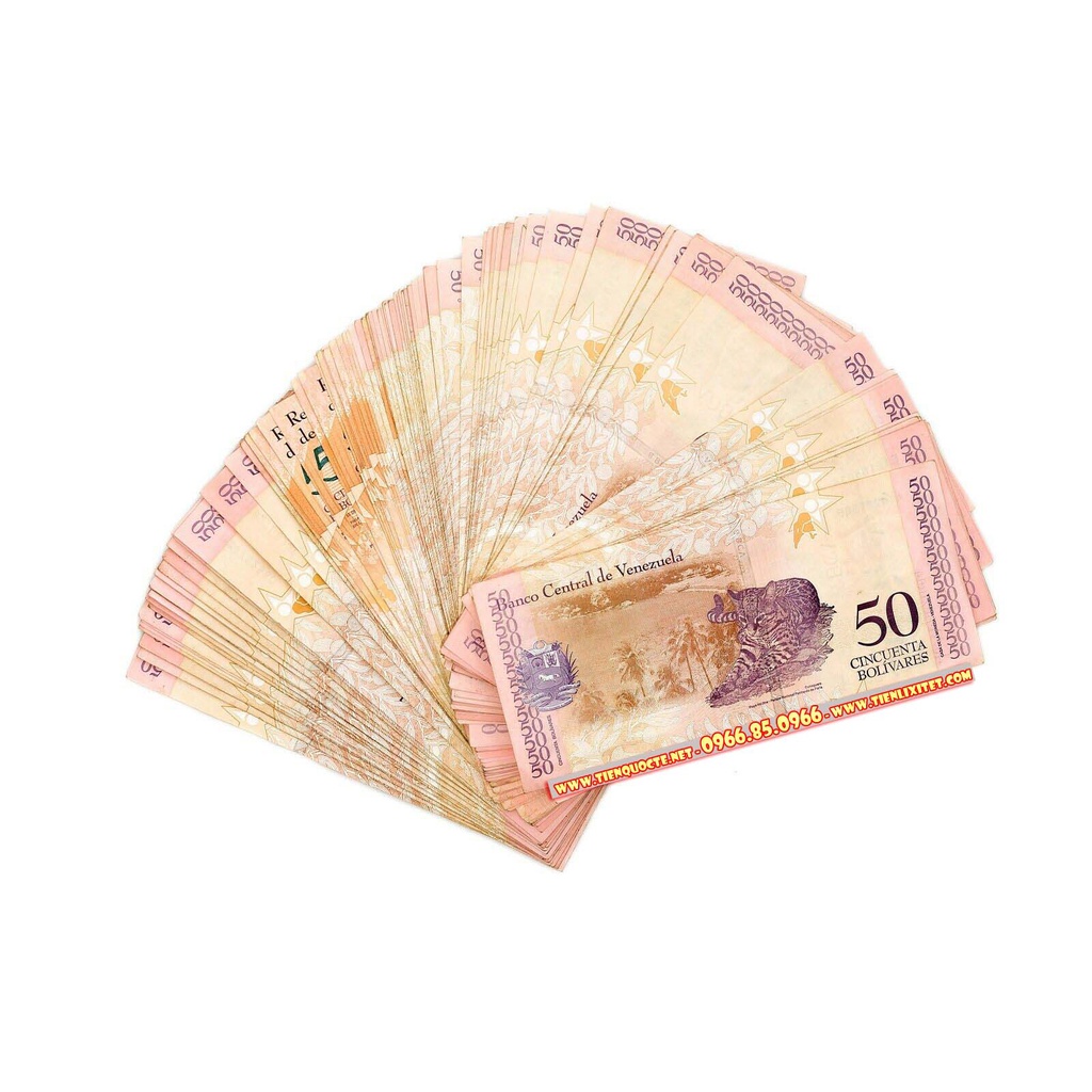 Tiền Hình Con Mèo Venezuela Lưu Niệm Lì Xì Tết 2023 Quý Mão